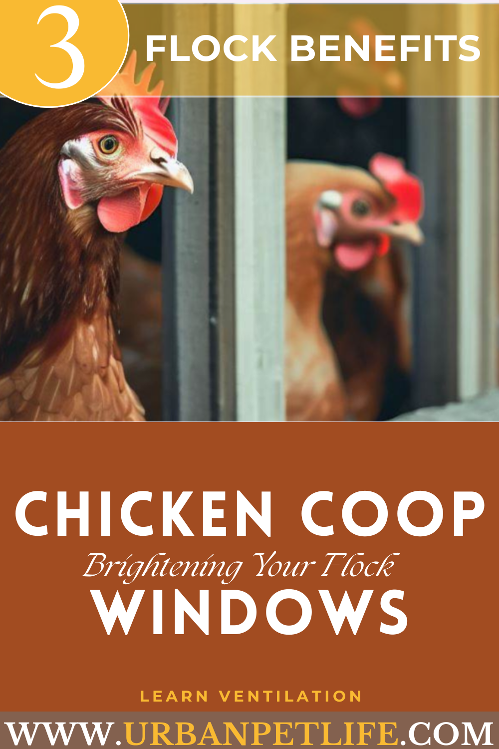 chicken coop windows