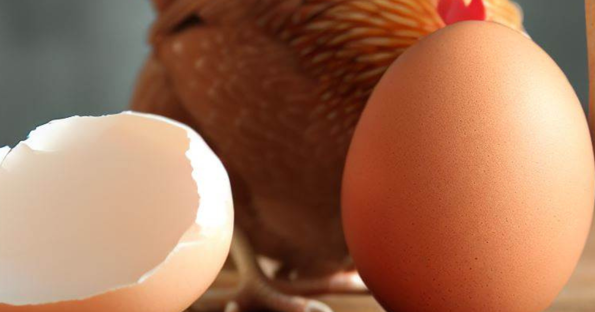 7 Misconceptions and Myths