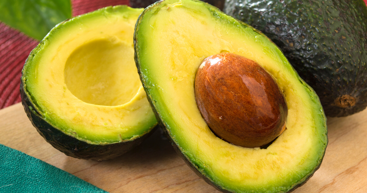 Can Chickens Eat Avocado