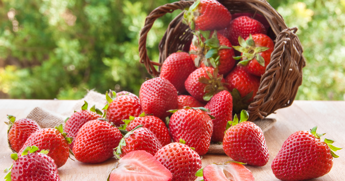 Can Chickens Eat Strawberries