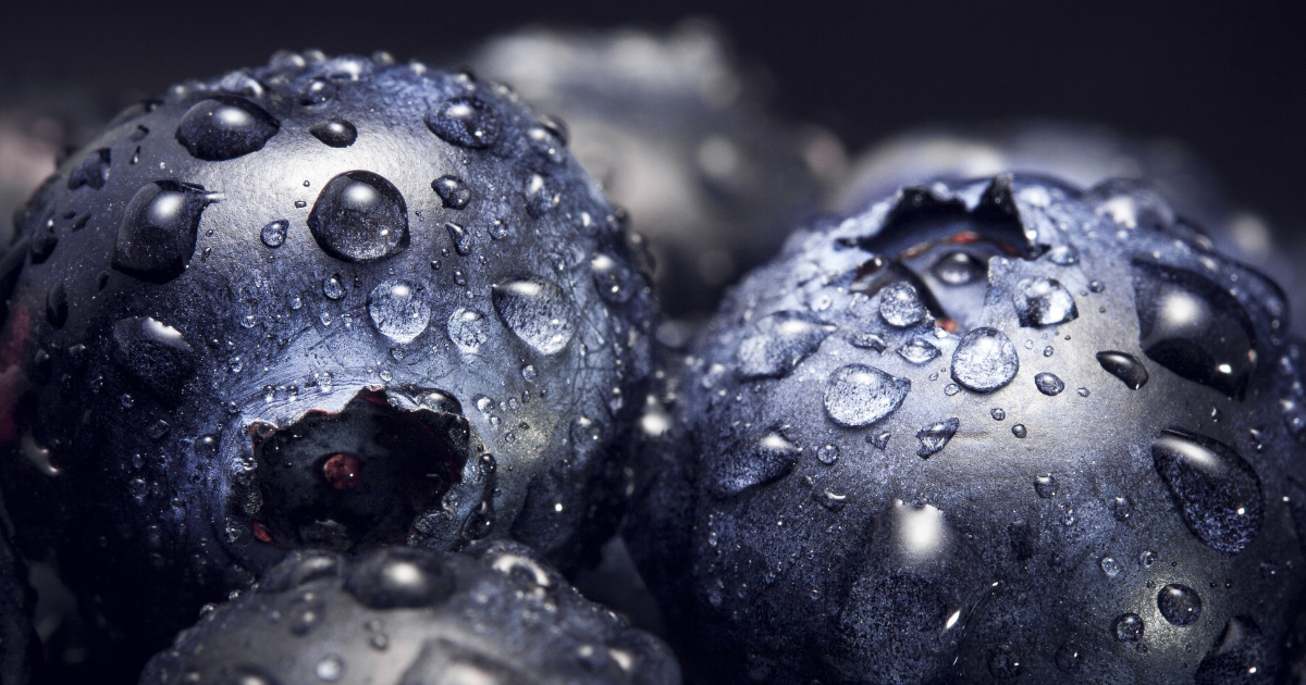 Can Chickens Eat Blueberries - whole