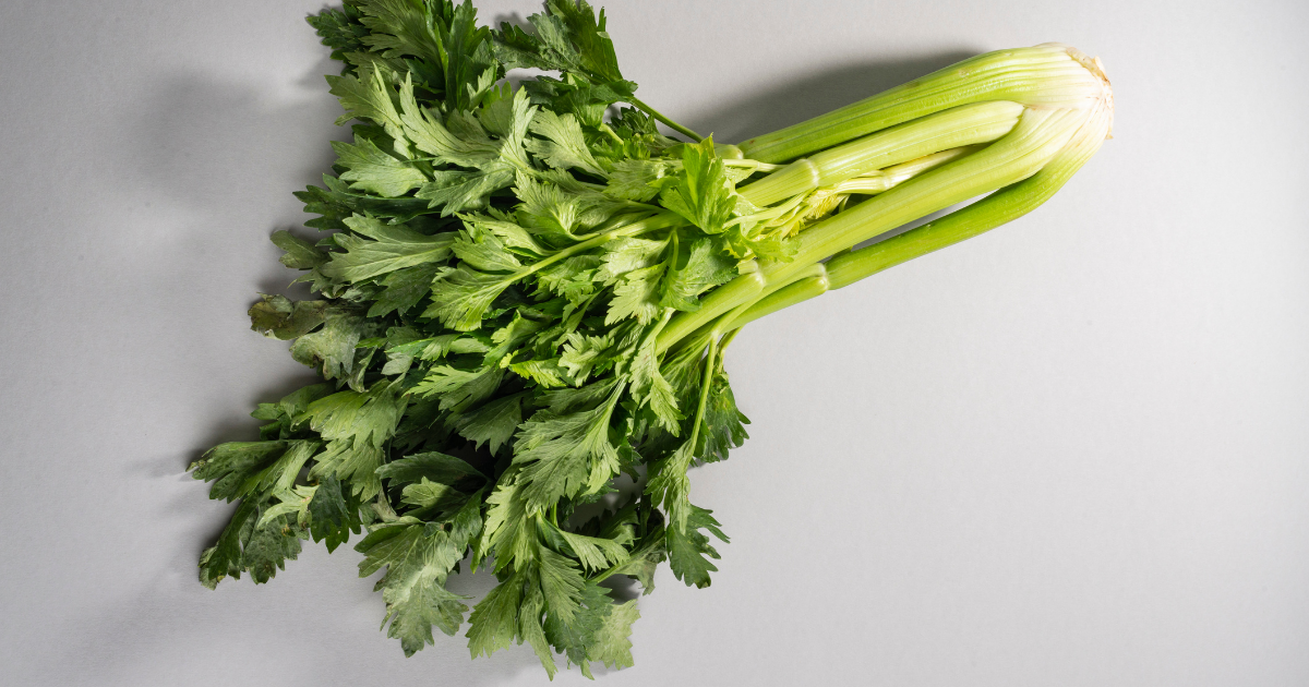 Can Chickens Eat Celery