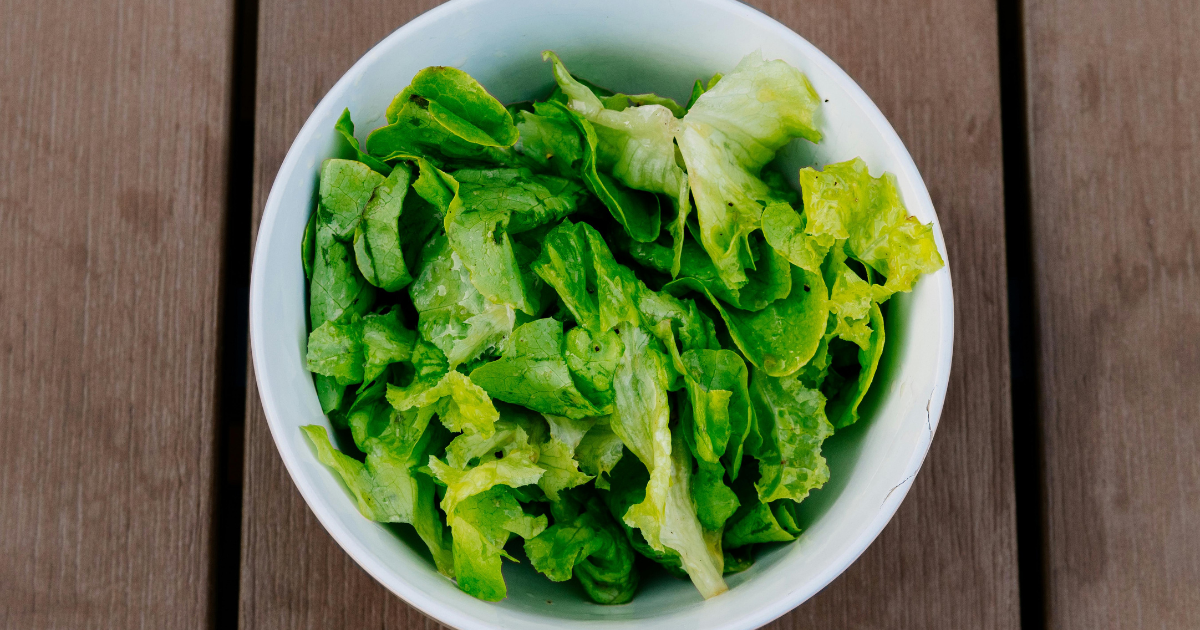 can chickens eat lettuce