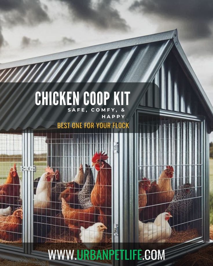 Chicken Coop Kit - How to Choose the Best One for Your Flock